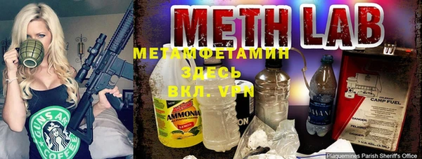 крисы Алексин